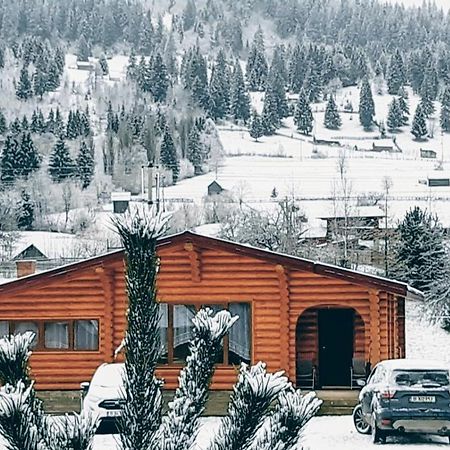 Cabana Alesia, Relaxare La Poalele Raraului Câmpulung Moldovenesc Buitenkant foto