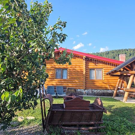 Cabana Alesia, Relaxare La Poalele Raraului Câmpulung Moldovenesc Buitenkant foto