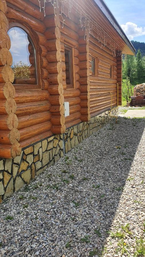 Cabana Alesia, Relaxare La Poalele Raraului Câmpulung Moldovenesc Buitenkant foto