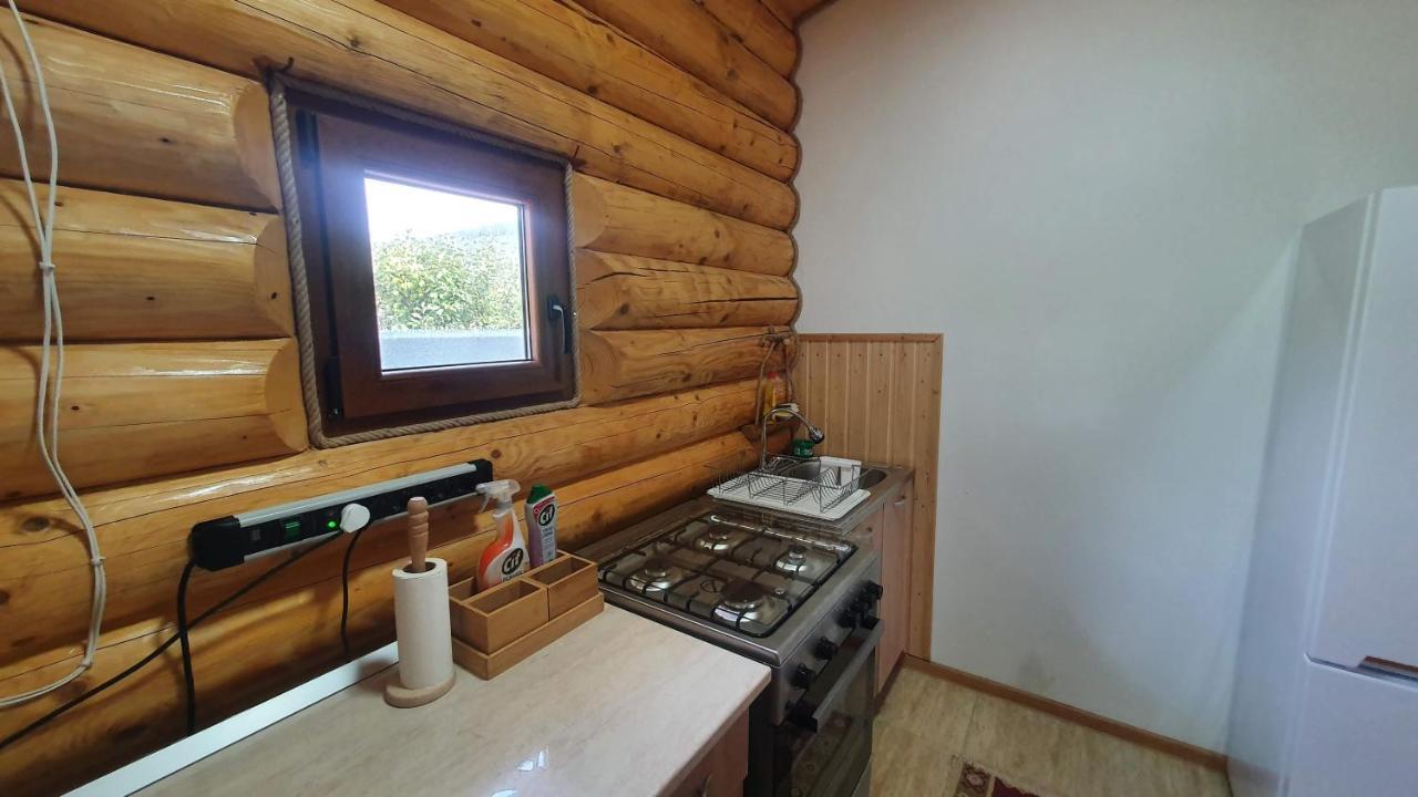 Cabana Alesia, Relaxare La Poalele Raraului Câmpulung Moldovenesc Buitenkant foto