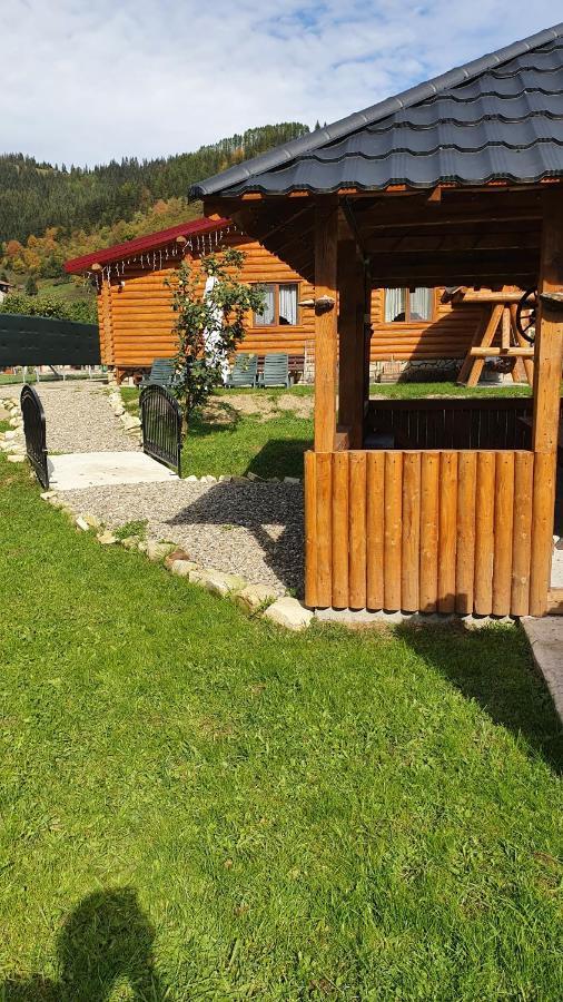 Cabana Alesia, Relaxare La Poalele Raraului Câmpulung Moldovenesc Buitenkant foto