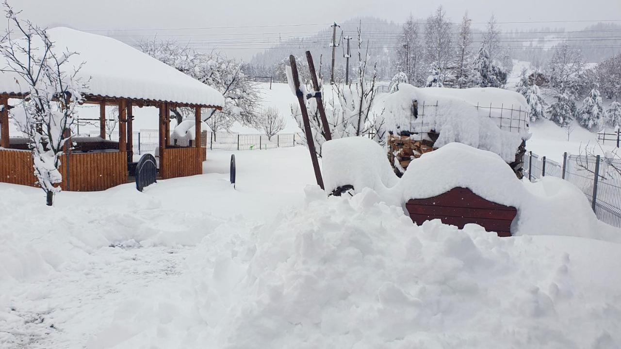 Cabana Alesia, Relaxare La Poalele Raraului Câmpulung Moldovenesc Buitenkant foto