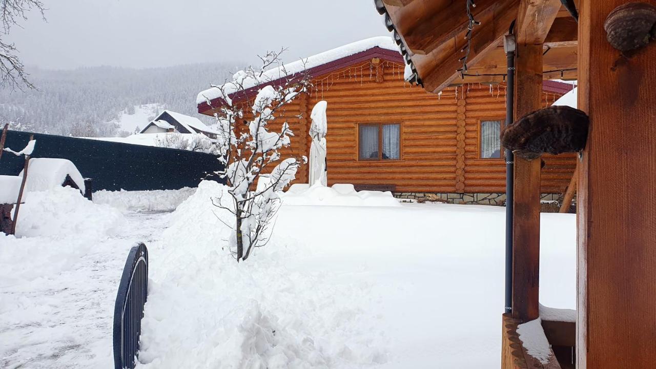 Cabana Alesia, Relaxare La Poalele Raraului Câmpulung Moldovenesc Buitenkant foto